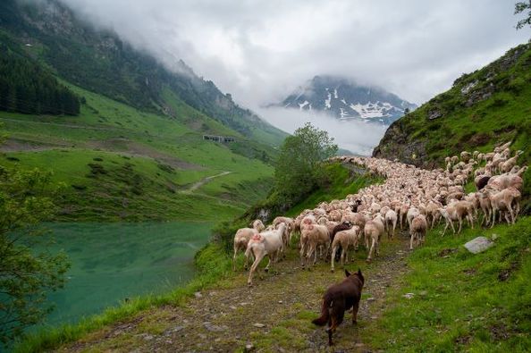 Descente de la Mongie