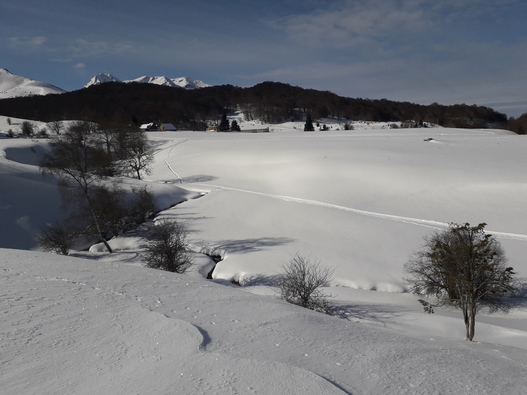 TOUJOURS PLUS DE NEIGE !!!!