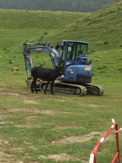 Qui a les clés du tracto ?