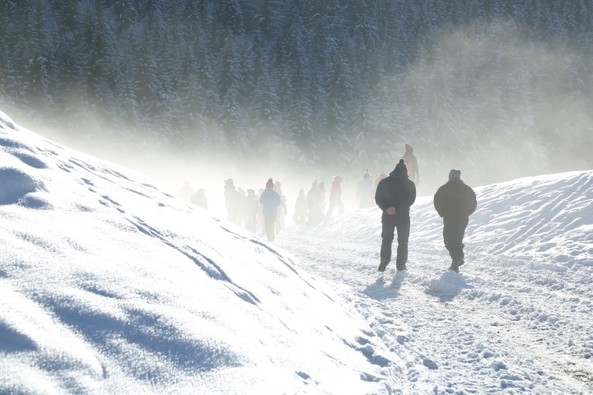 Balade dans la neige