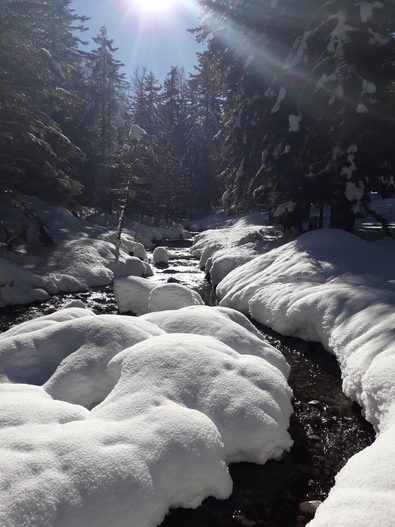 PAYOLLE SOUS LA NEIGE