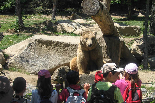 Visite du parc animalier